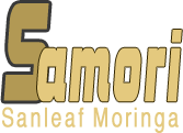 moringabook
